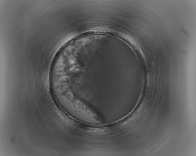 X0000115121229200911101619
