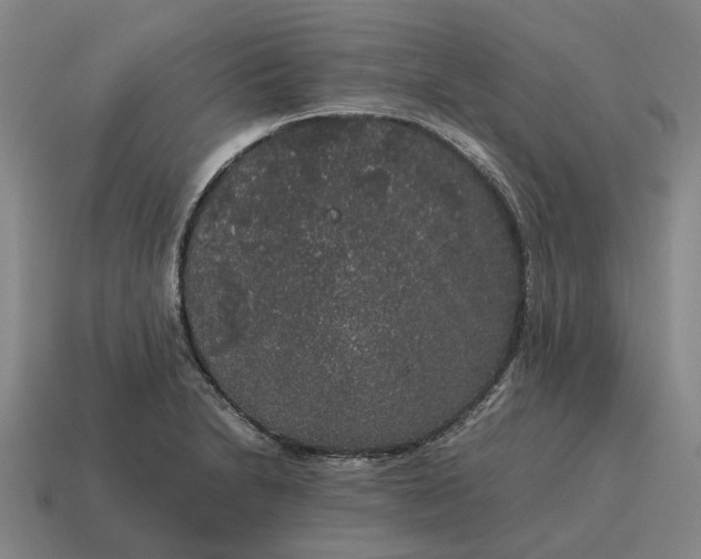 X0000115121230200911101620
