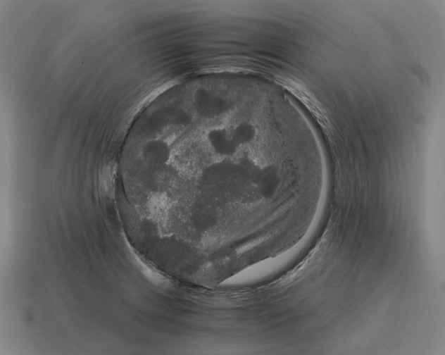 X0000115121233200911101620