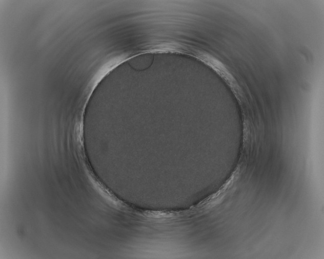 X0000115121234200911101620
