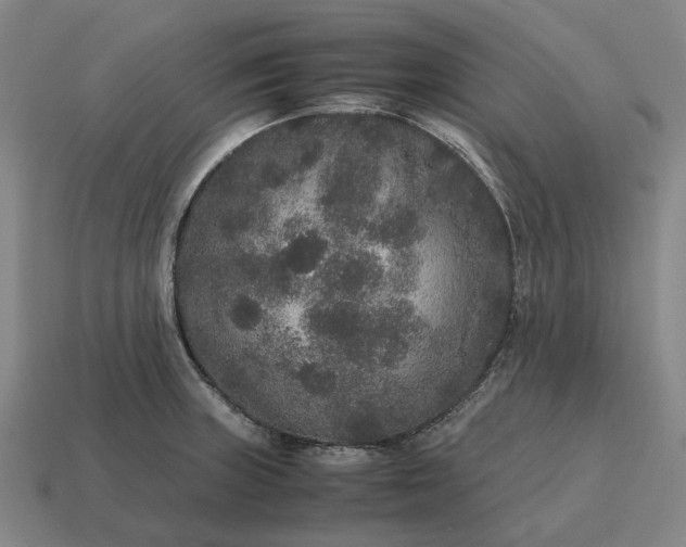 X0000115121235200911101620