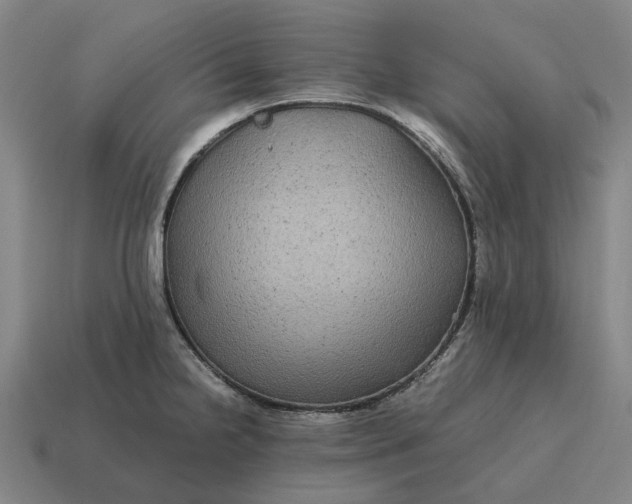 X0000115121238200911101620