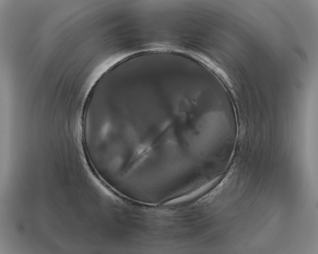 X0000115121239200911101620