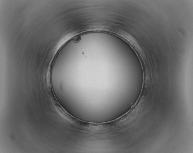 X0000115121242200911101620