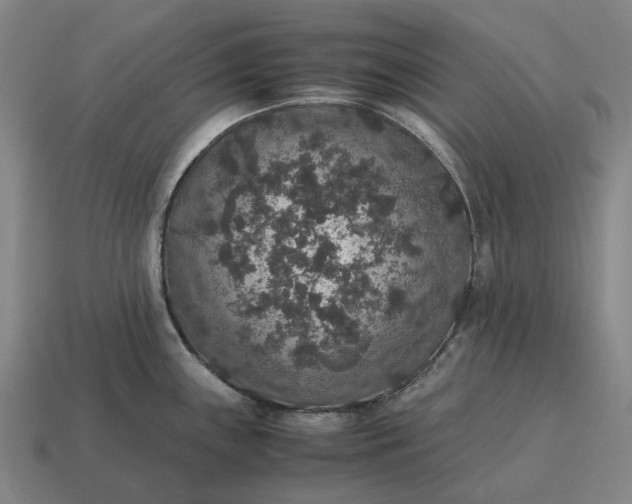 X0000115121243200911101620
