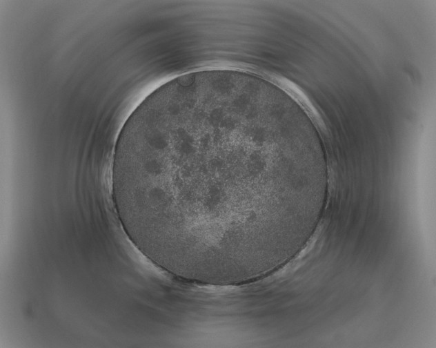 X0000115121244200911101620