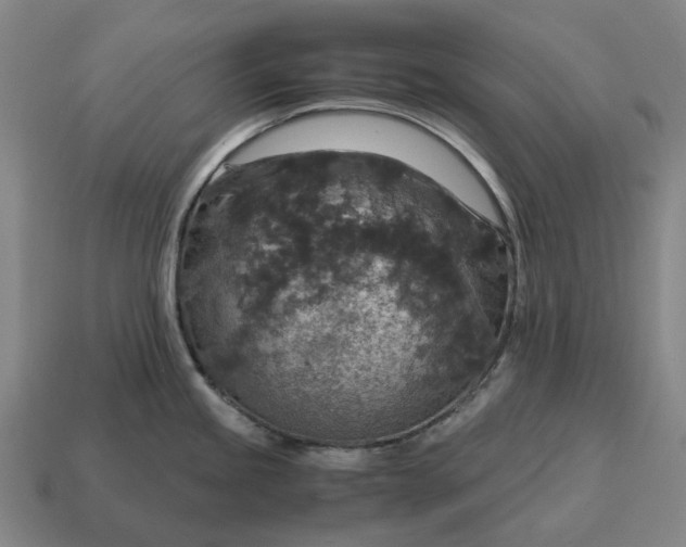 X0000115121245200911101620