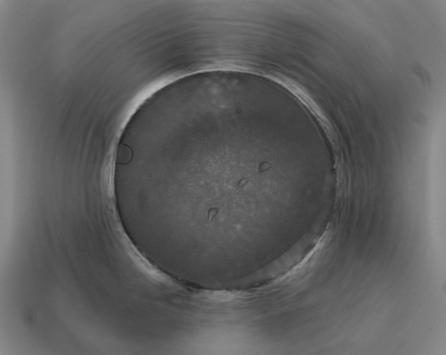 X0000115121246200911101620