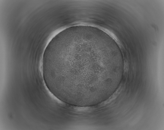 X0000115121247200911101620