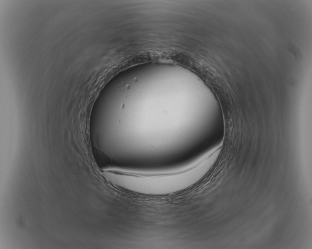 X0000115121249200911101619