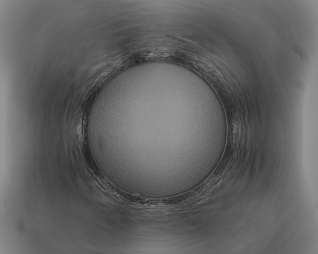 X0000115121250200911101619