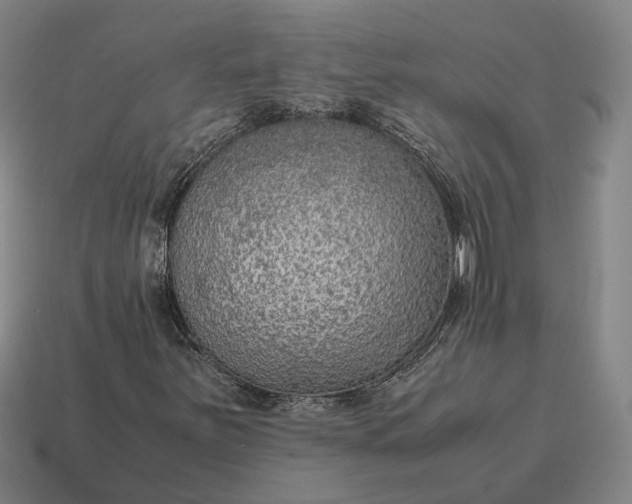 X0000115121251200911101619