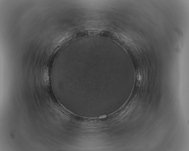 X0000115121252200911101619
