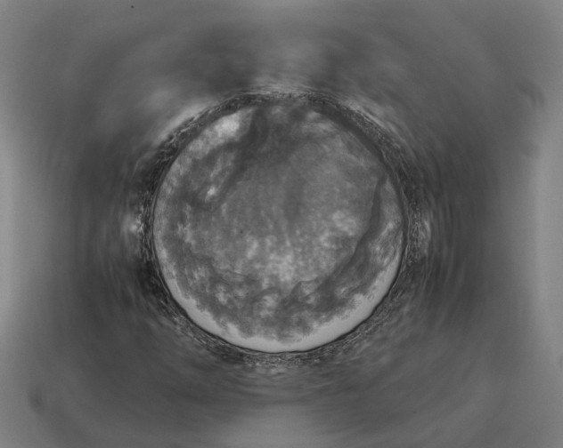 X0000115121254200911101619