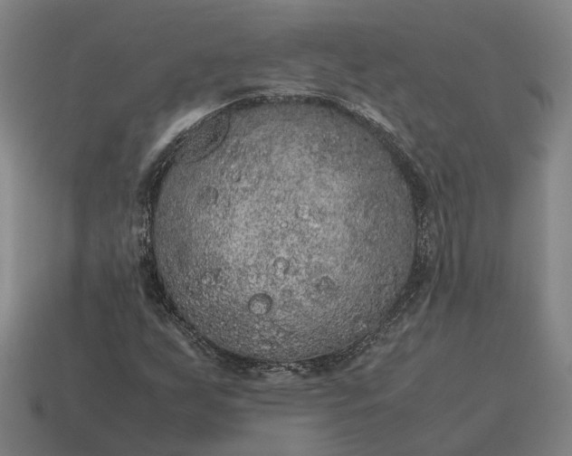 X0000115121255200911101619