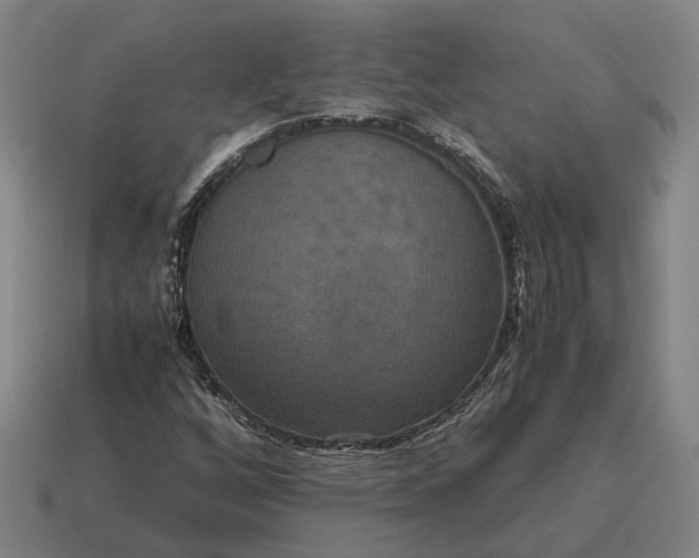 X0000115121256200911101619