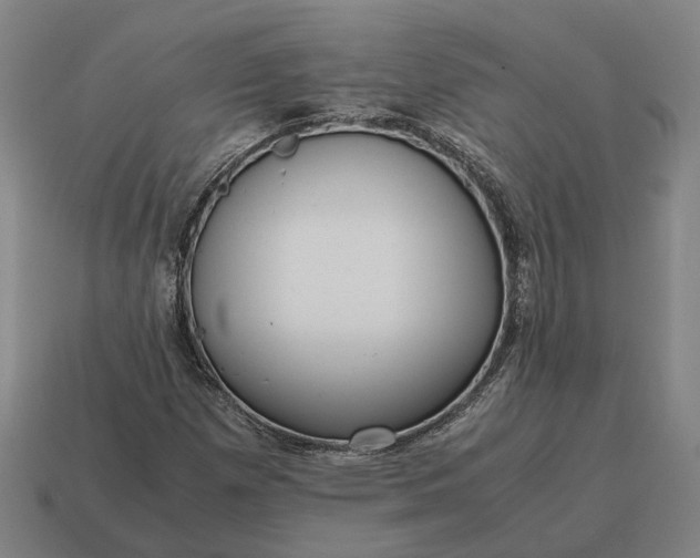 X0000115121257200911101619