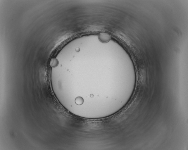X0000115121258200911101619