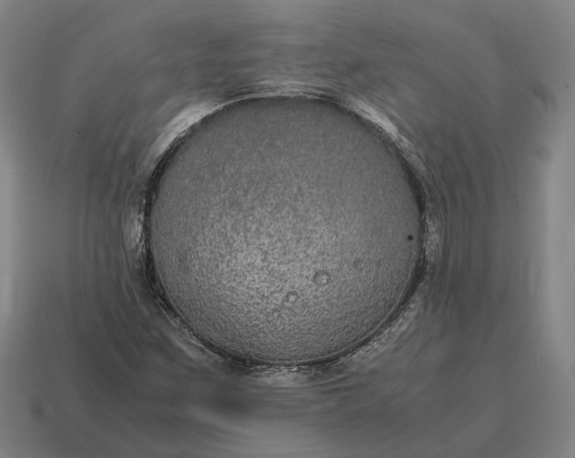 X0000115121259200911101619