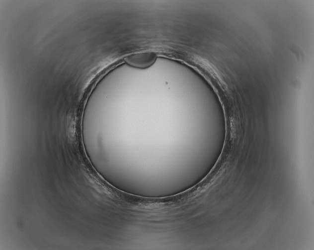 X0000115121260200911101619
