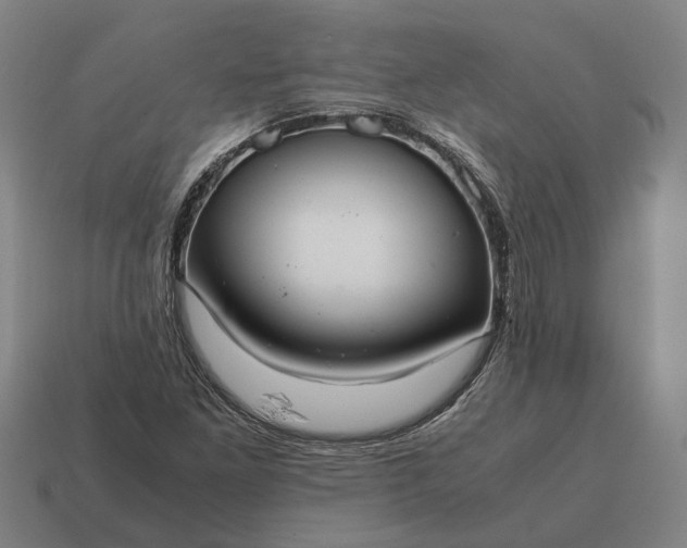 X0000115121261200911101619