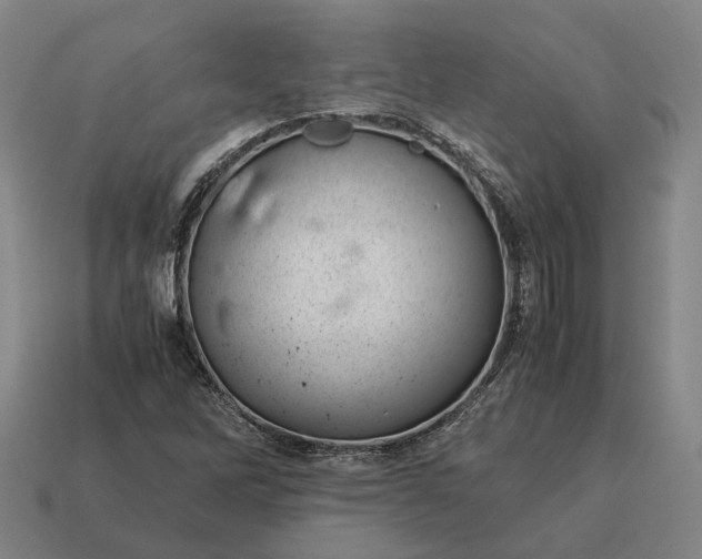 X0000115121262200911101619