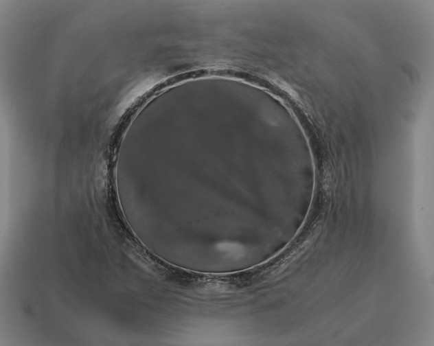 X0000115121263200911101619