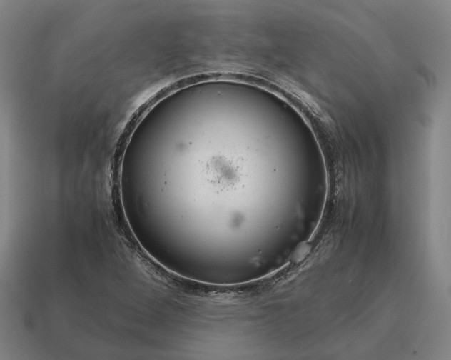 X0000115121264200911101619