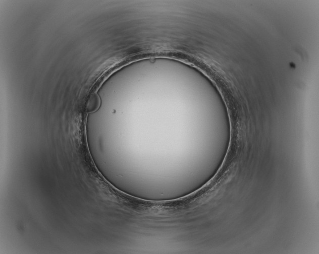 X0000115121265200911101619