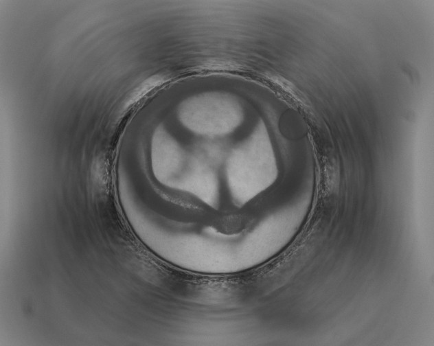 X0000115121266200911101619