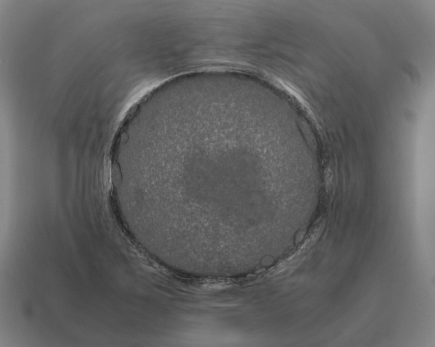 X0000115121267200911101619
