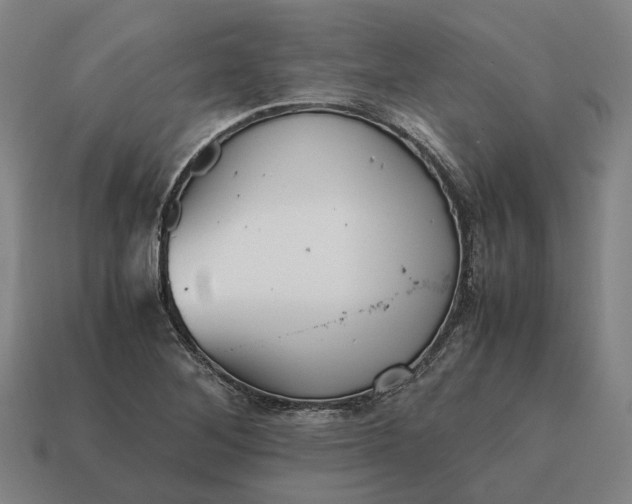 X0000115121268200911101619