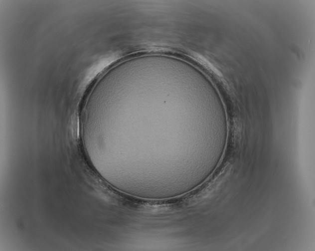 X0000115121269200911101619