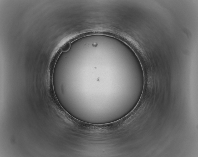 X0000115121270200911101619