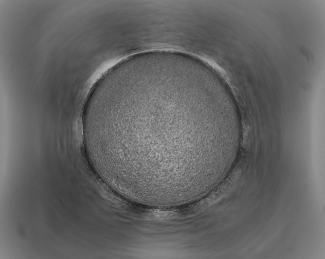 X0000115121271200911101619