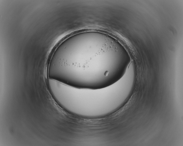 X0000115121272200911101619
