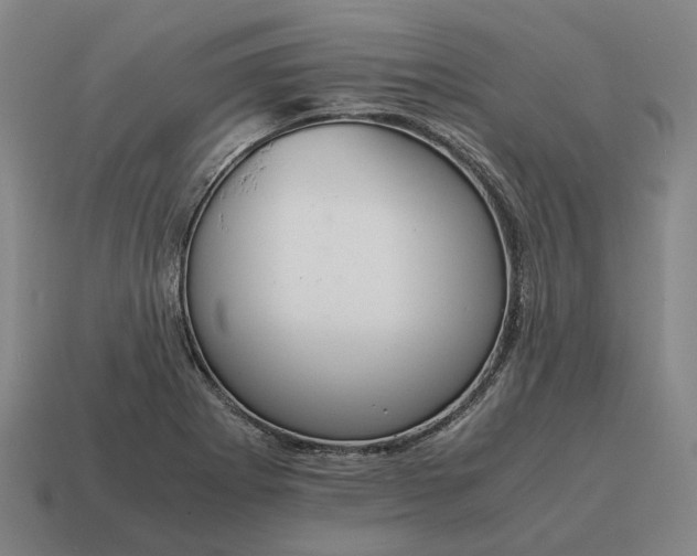 X0000115121273200911101619