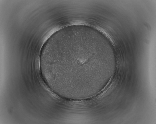 X0000115121274200911101619