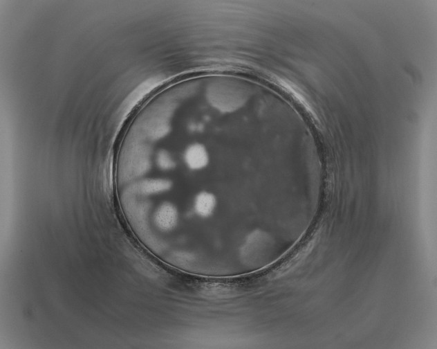 X0000115121275200911101619