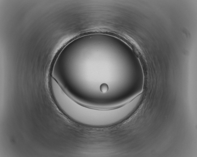X0000115121277200911101619
