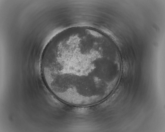 X0000115121278200911101619