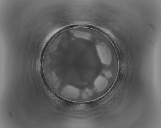 X0000115121279200911101619