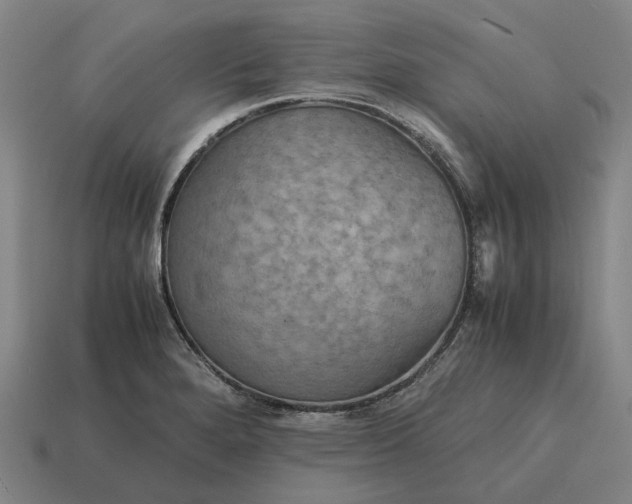 X0000115121280200911101619