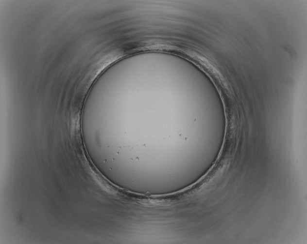 X0000115121281200911101619