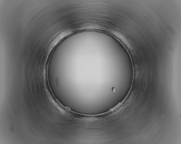 X0000115121282200911101619