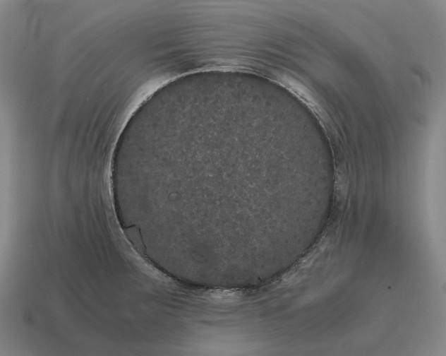 X0000115121283200911101619
