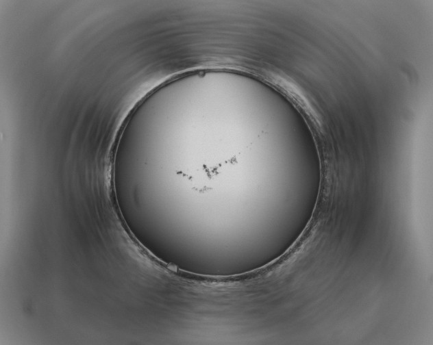X0000115121284200911101619