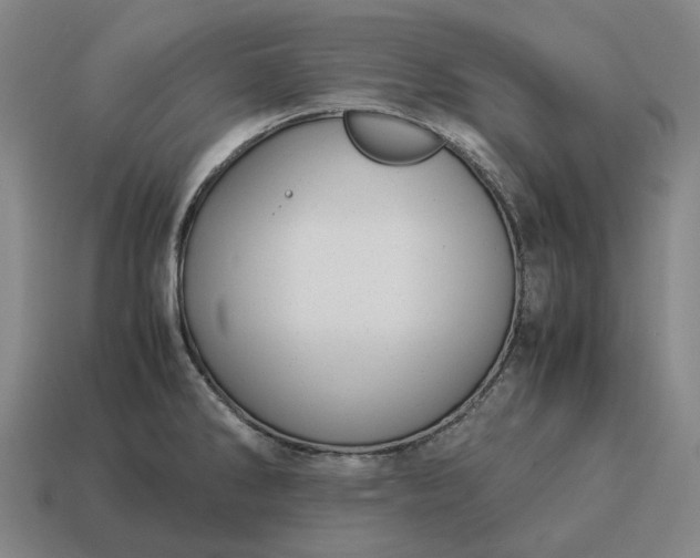 X0000115121286200911101619