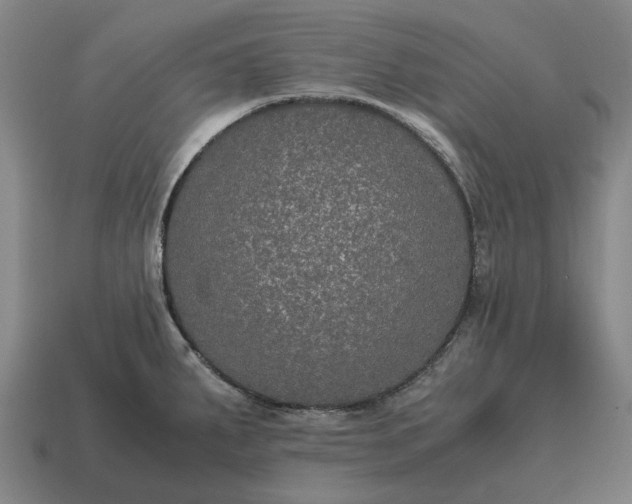 X0000115121287200911101619
