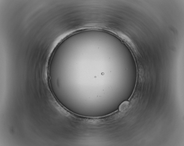 X0000115121288200911101619